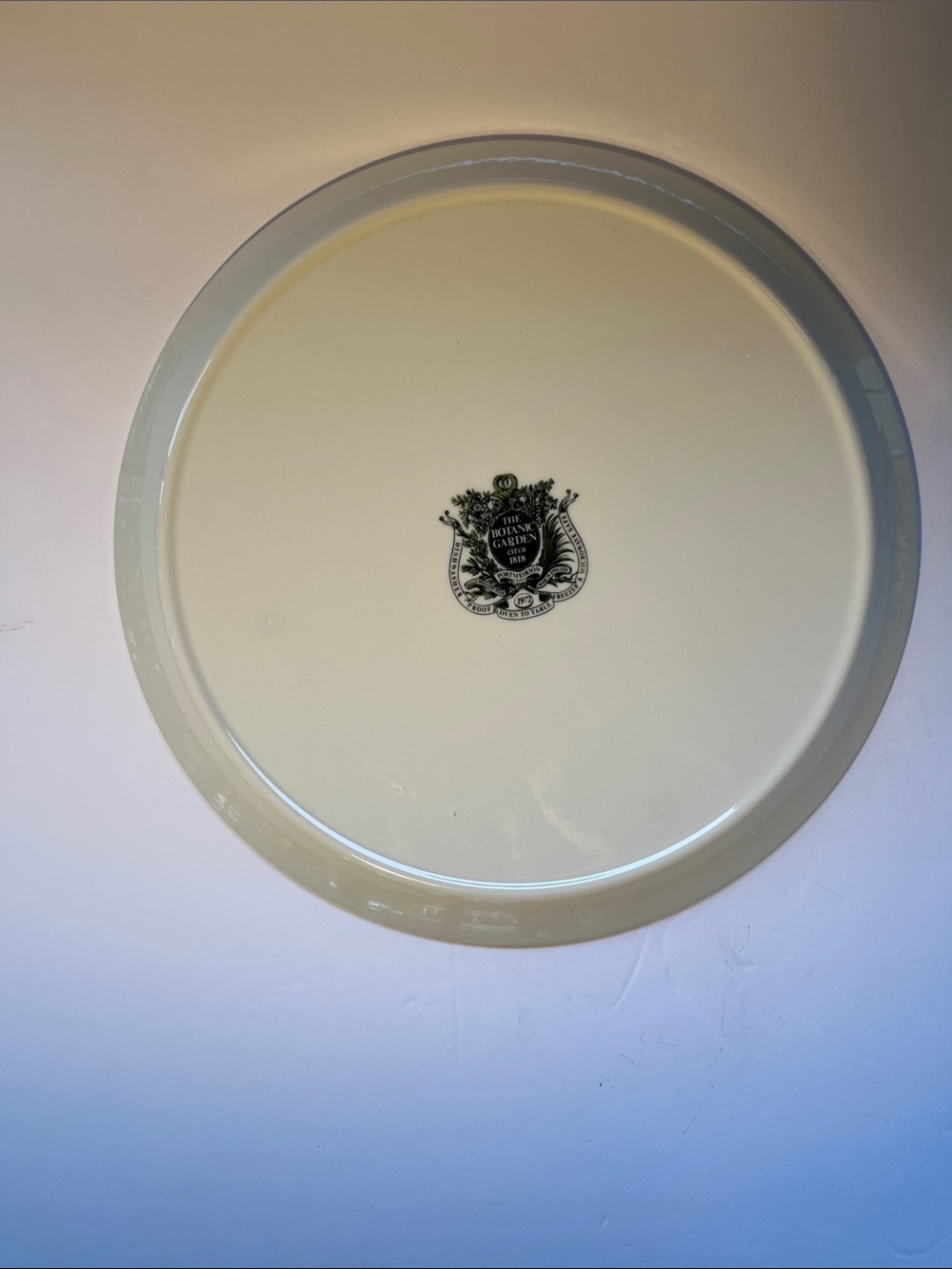 Portmeirion The Botanic Garden Serving Platter-Tray Susan Williams- Ellis 10.75" - Picture 5 of 7